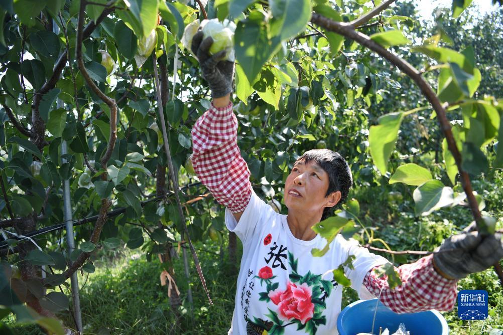 澳门威尼斯人3644官网